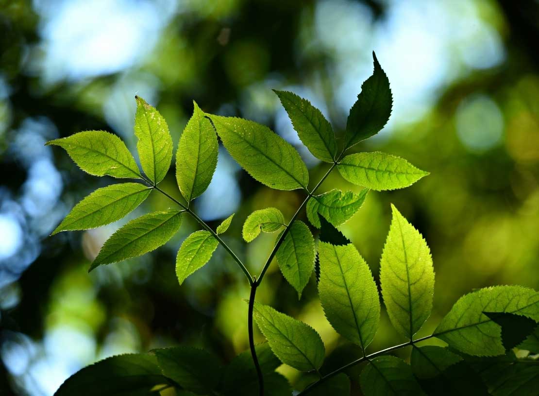 Çatı Yalıtımı 7